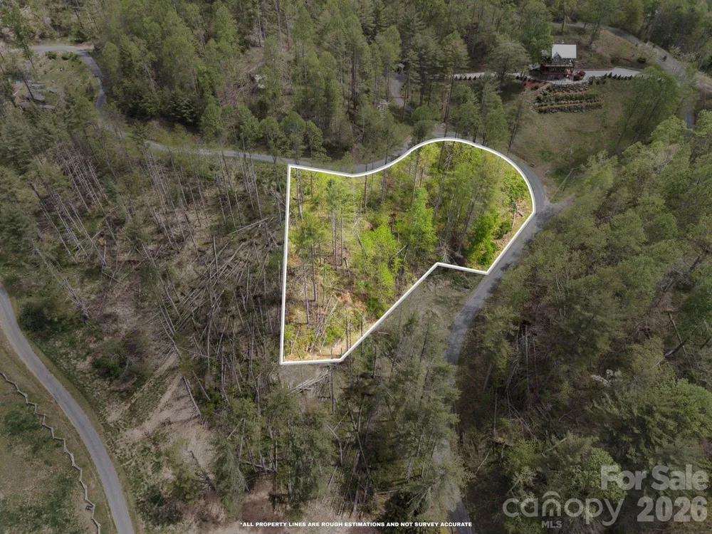0000 Mountain Crest Drive #18 Bakersville, NC 28705