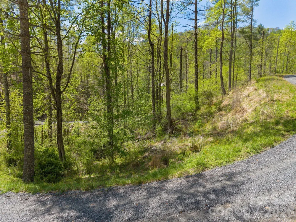 0000 Mountain Crest Drive #18 Bakersville, NC 28705