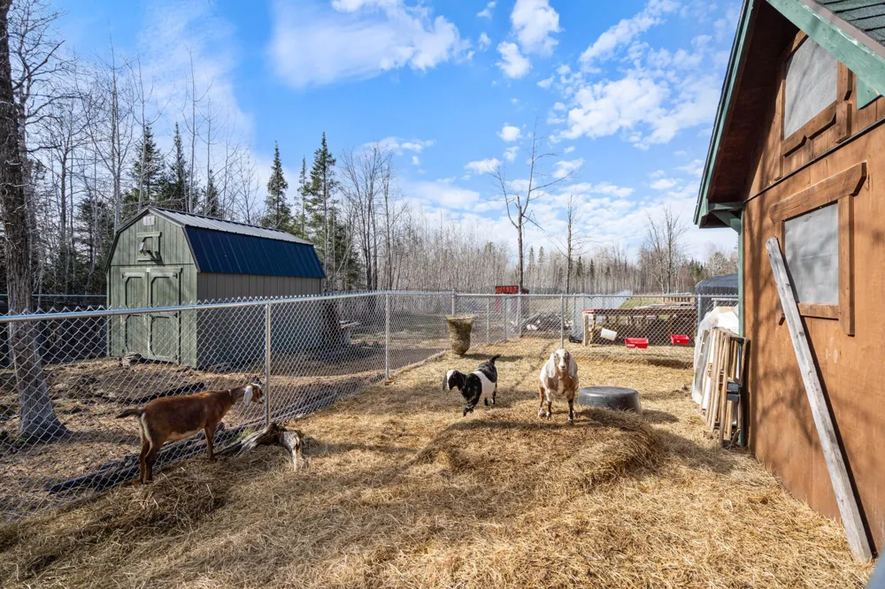 3521 Fire Trail Eveleth, MN 55734