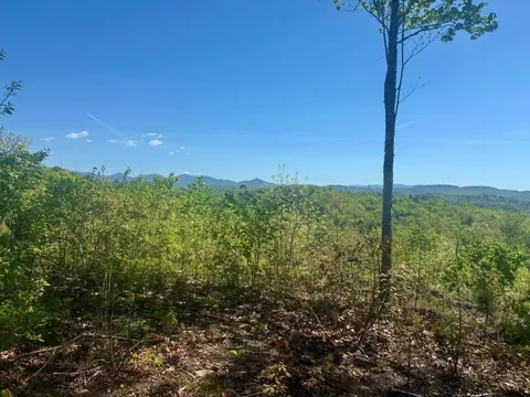 0 Wayah Ridge