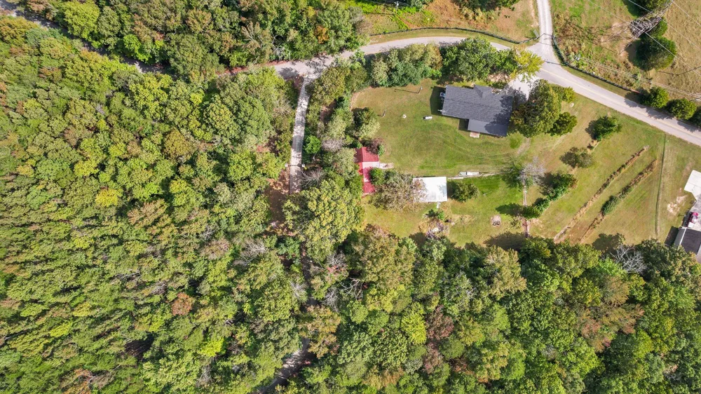 373 County Road 159 Bryant, AL 35958