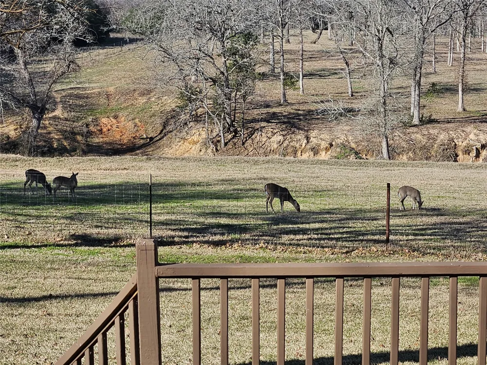 913 CR 237 Cameron, TX 76520