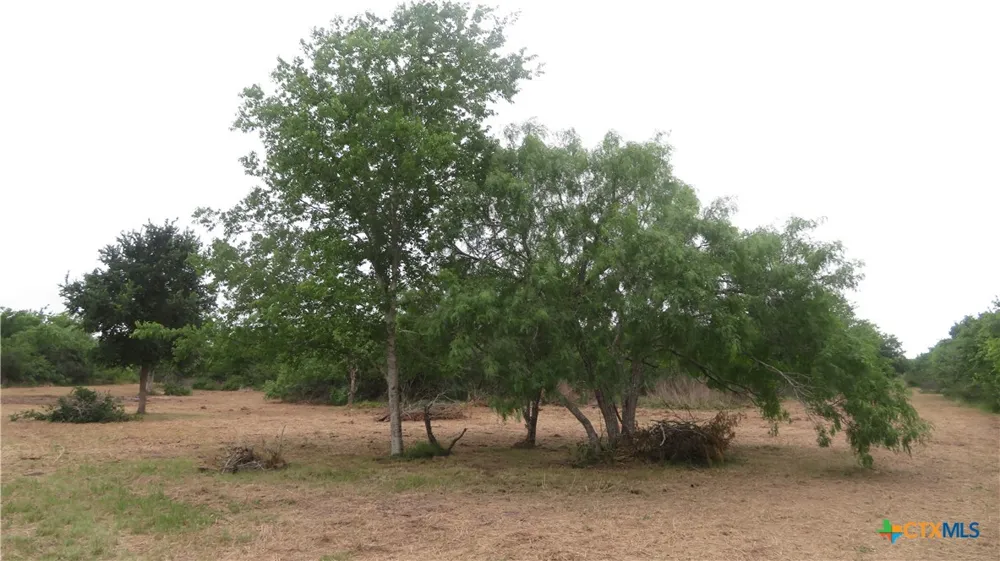 CO RD 426 Lolita, TX 77971
