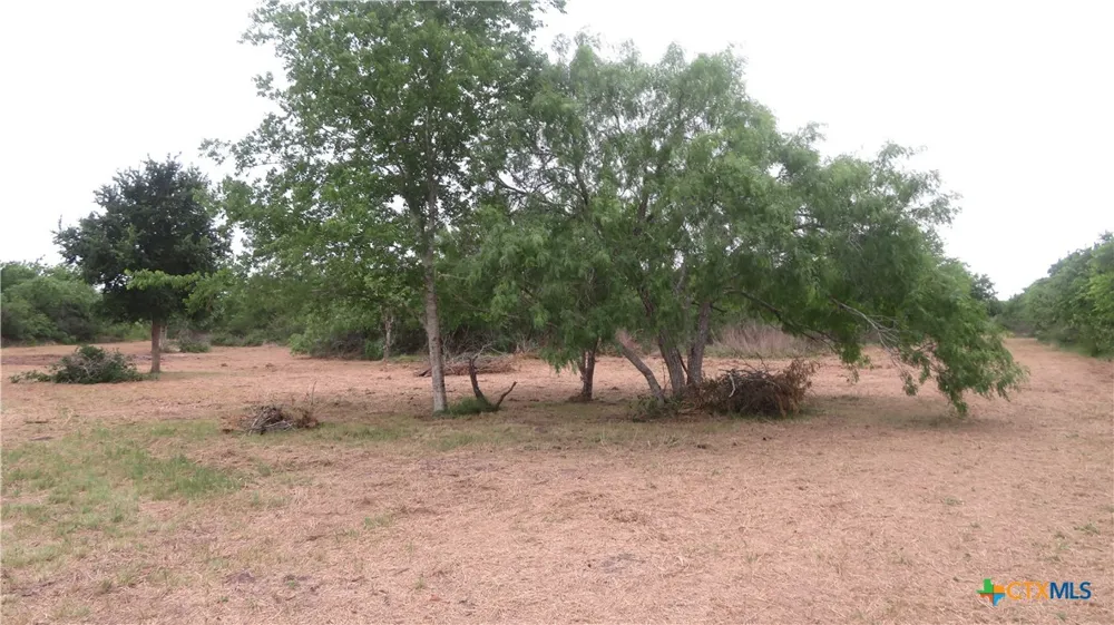 CO RD 426 Lolita, TX 77971