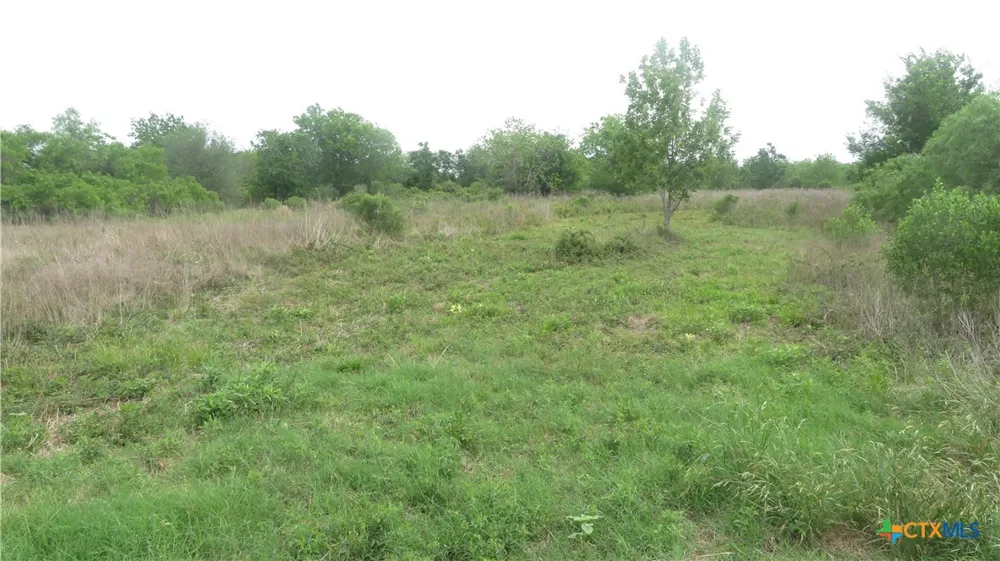 CO RD 426 Lolita, TX 77971