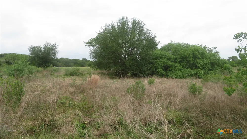 CO RD 426 Lolita, TX 77971