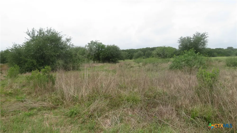 CO RD 426 Lolita, TX 77971