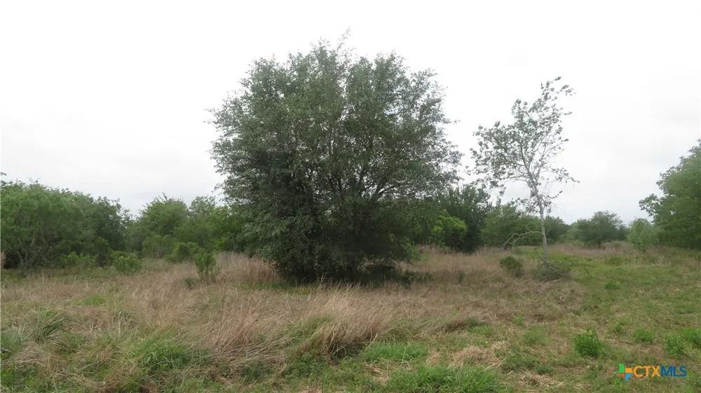 CO RD 426 Lolita, TX 77971