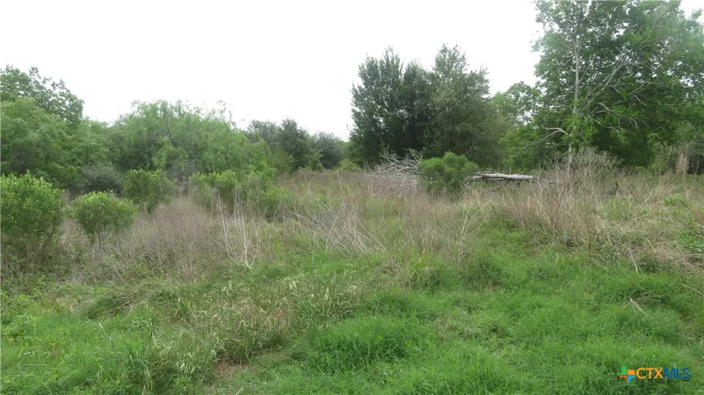 CO RD 426 Lolita, TX 77971