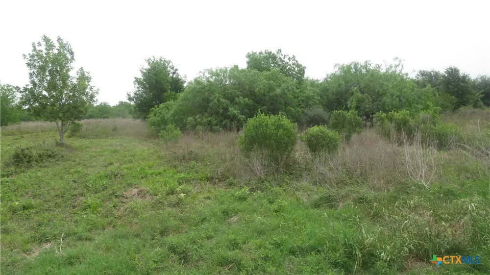 CO RD 426 Lolita, TX 77971