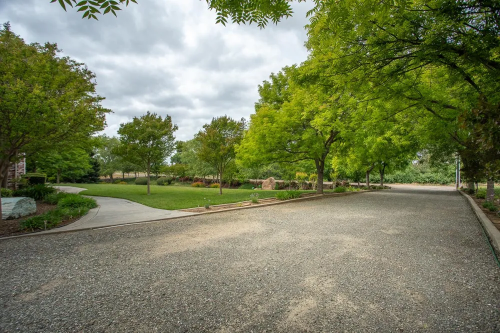 6640 Harrington Arbuckle, CA 95912