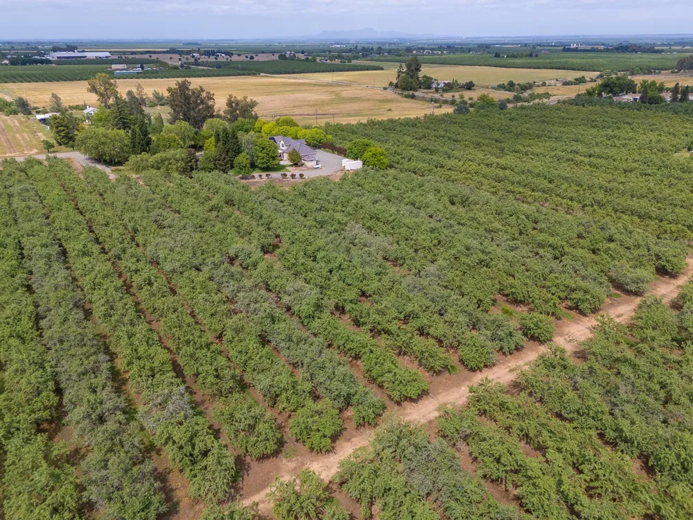 6640 Harrington Arbuckle, CA 95912