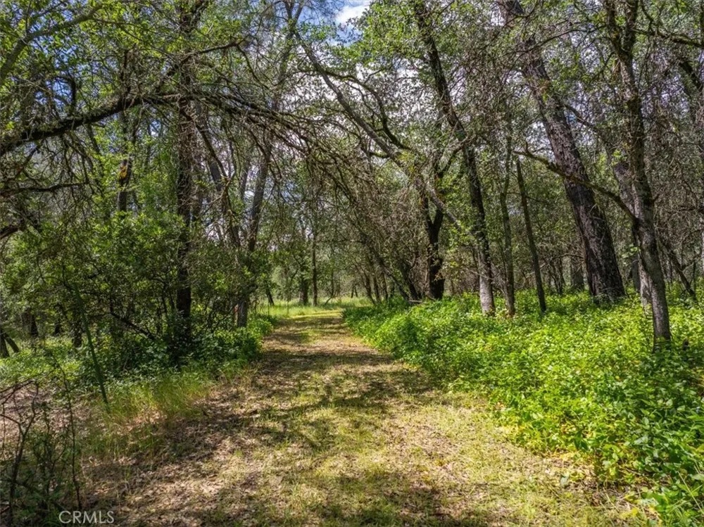 506 Black Canyon Shasta Lake, CA 96019