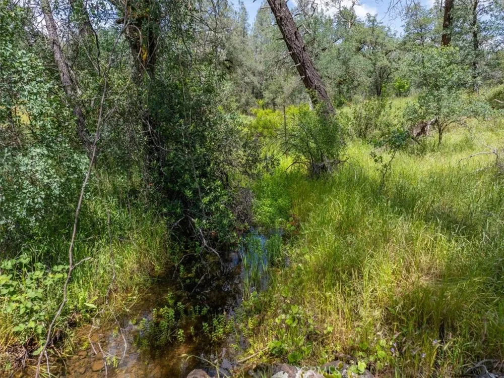 506 Black Canyon Shasta Lake, CA 96019