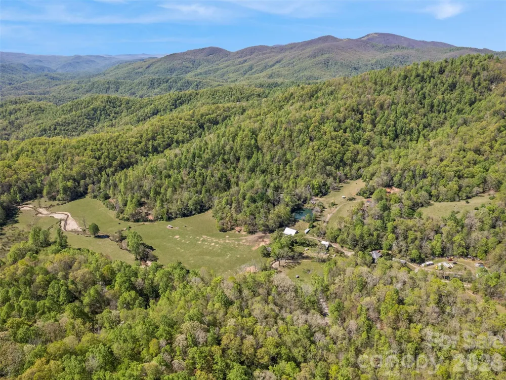 1372 Sand Branch Road Black Mountain, NC 28711