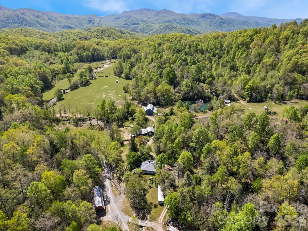 1372 Sand Branch Road Black Mountain, NC 28711