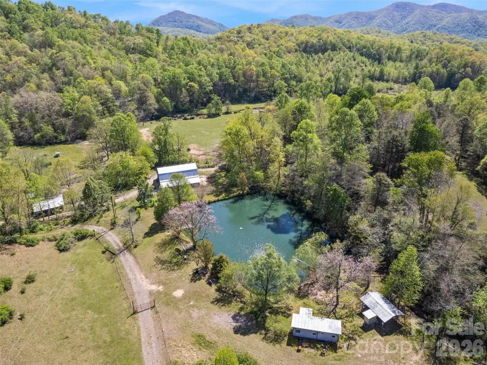 1372 Sand Branch Road Black Mountain, NC 28711
