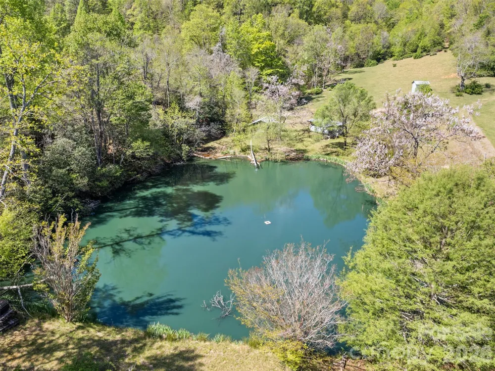 1372 Sand Branch Road Black Mountain, NC 28711