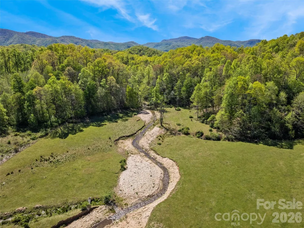 1372 Sand Branch Road Black Mountain, NC 28711