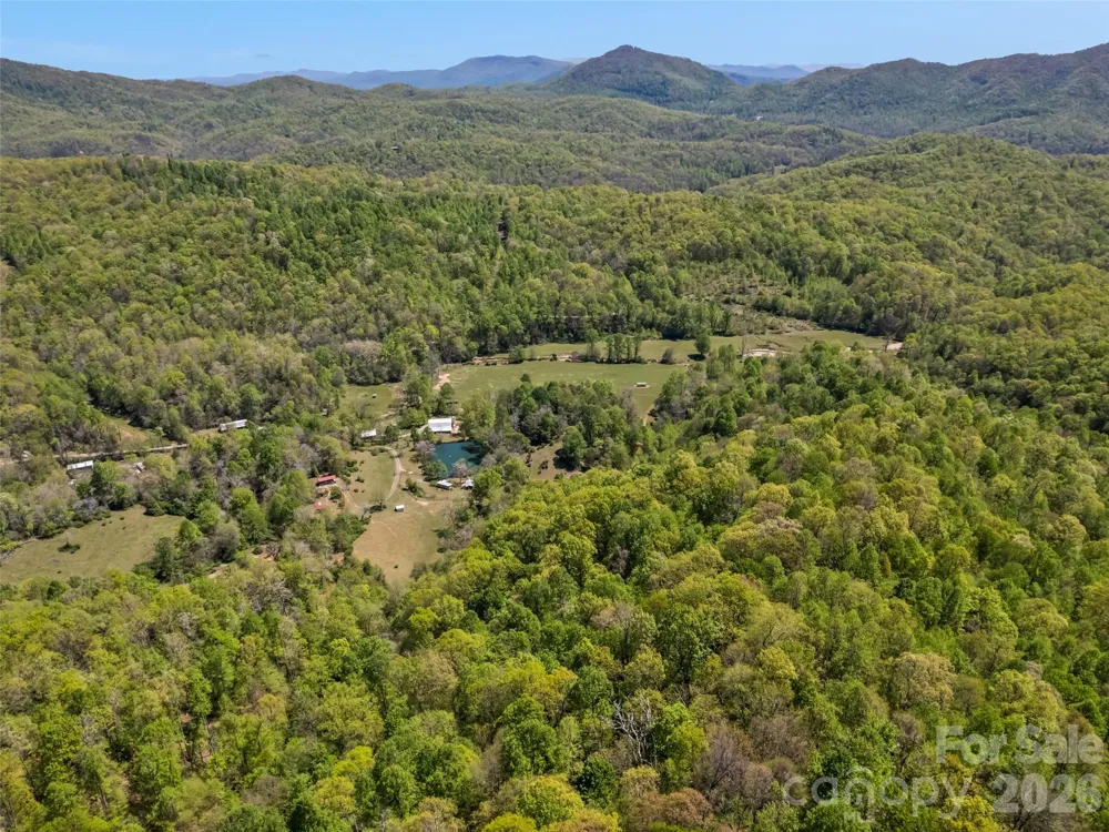 1372 Sand Branch Road Black Mountain, NC 28711