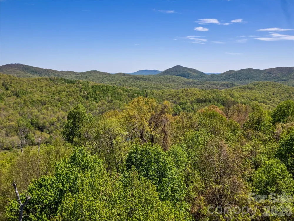 1372 Sand Branch Road Black Mountain, NC 28711