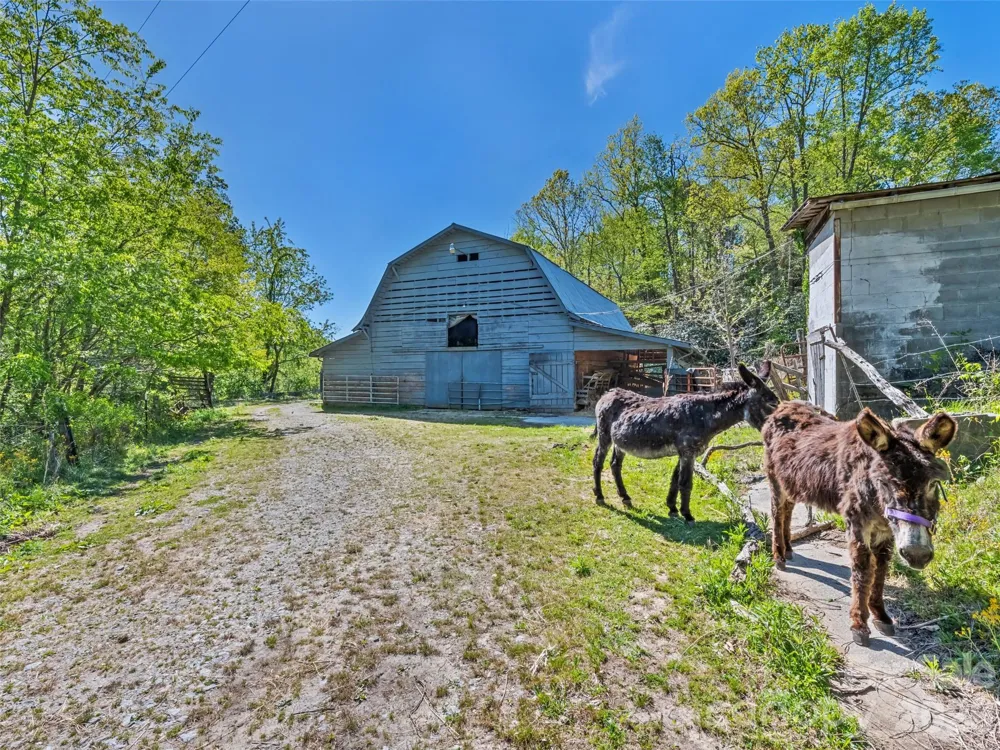 1372 Sand Branch Road Black Mountain, NC 28711