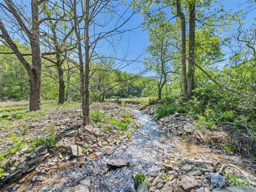 1372 Sand Branch Road Black Mountain, NC 28711