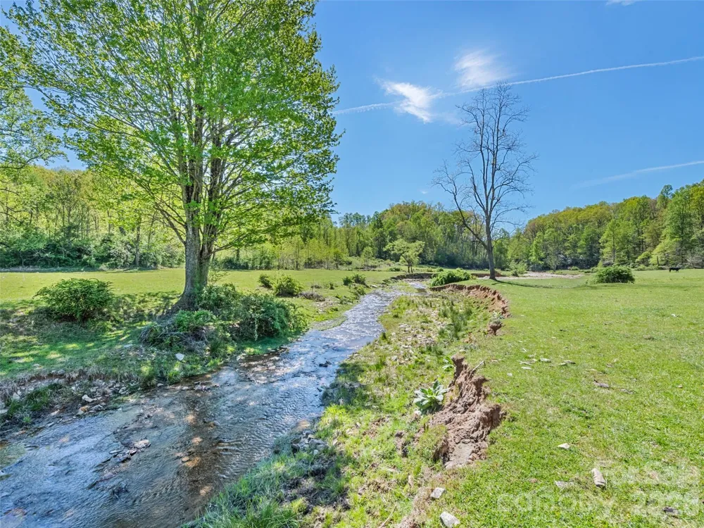 1372 Sand Branch Road Black Mountain, NC 28711