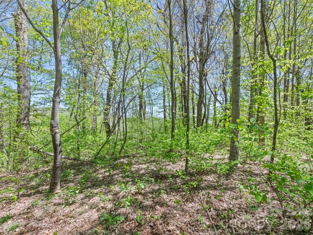 1372 Sand Branch Road Black Mountain, NC 28711