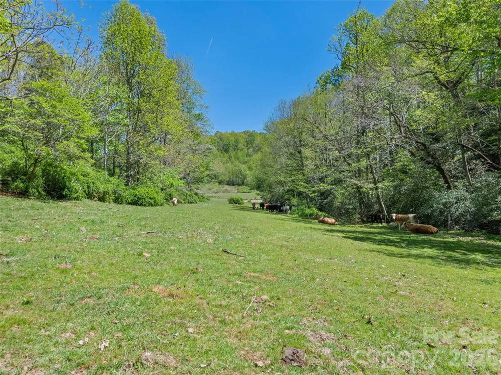 1372 Sand Branch Road Black Mountain, NC 28711