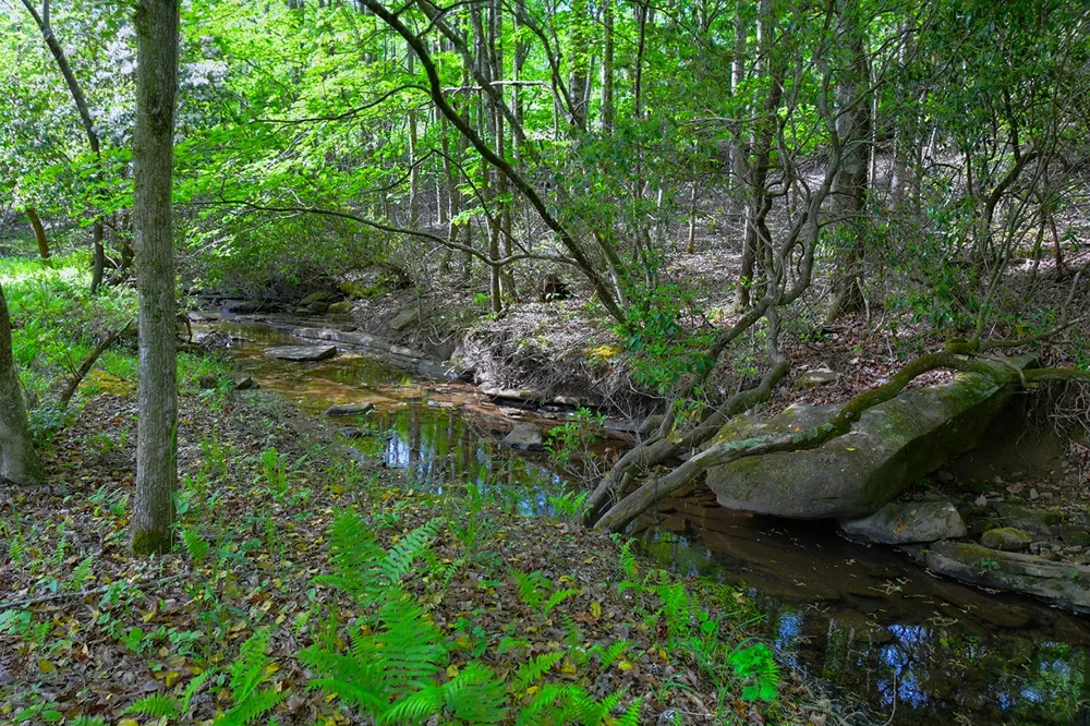 607 Monteagle Falls Rd Monteagle, TN 37356