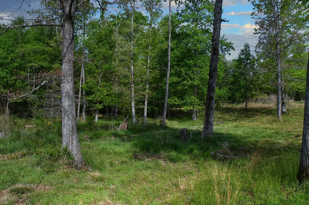 607 Monteagle Falls Rd Monteagle, TN 37356