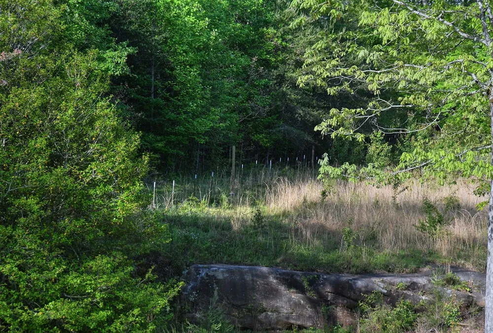 607 Monteagle Falls Rd Monteagle, TN 37356