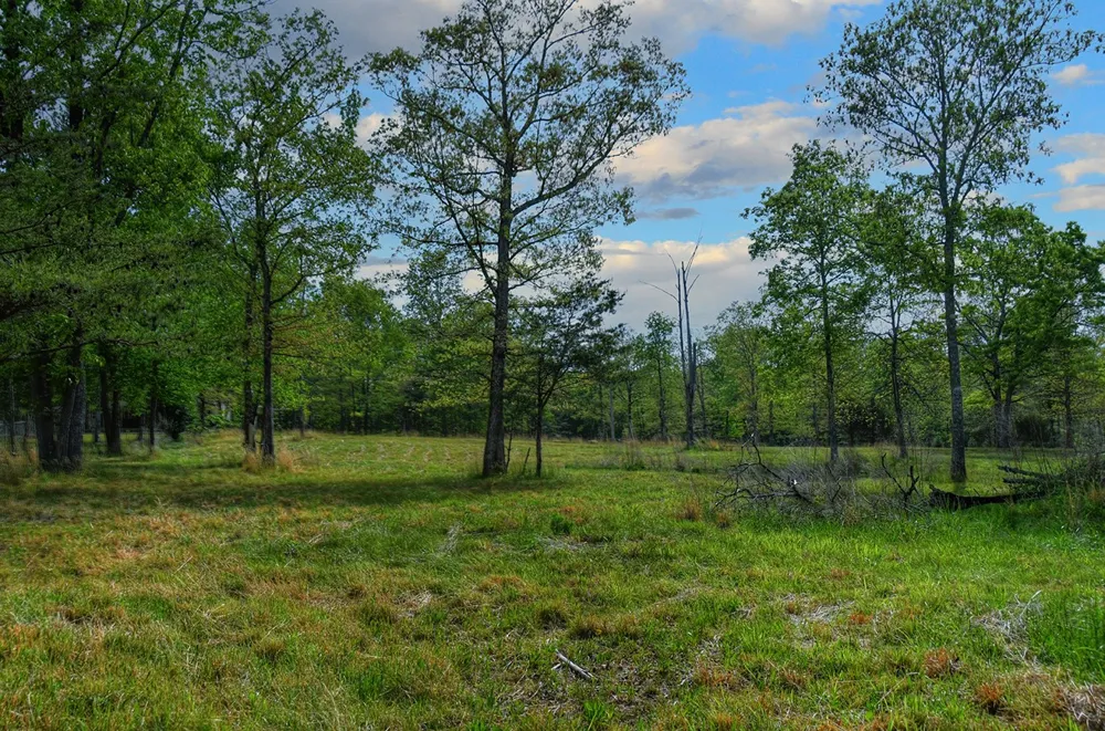 607 Monteagle Falls Rd Monteagle, TN 37356