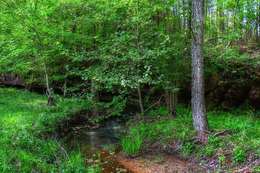607 Monteagle Falls Rd Monteagle, TN 37356