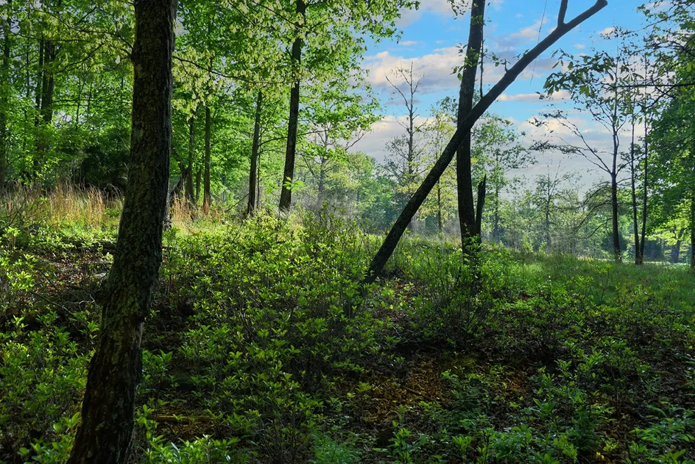 607 Monteagle Falls Rd Monteagle, TN 37356