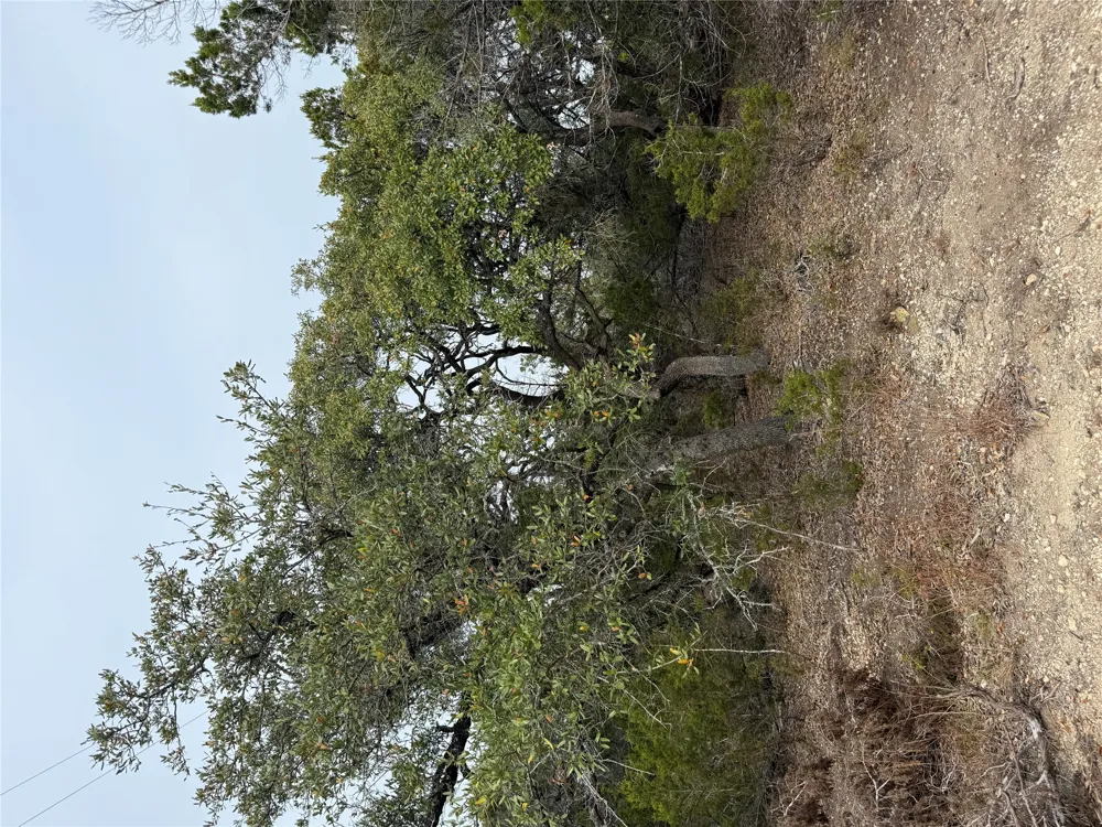1 Pump Station Road Wimberley, TX 78676