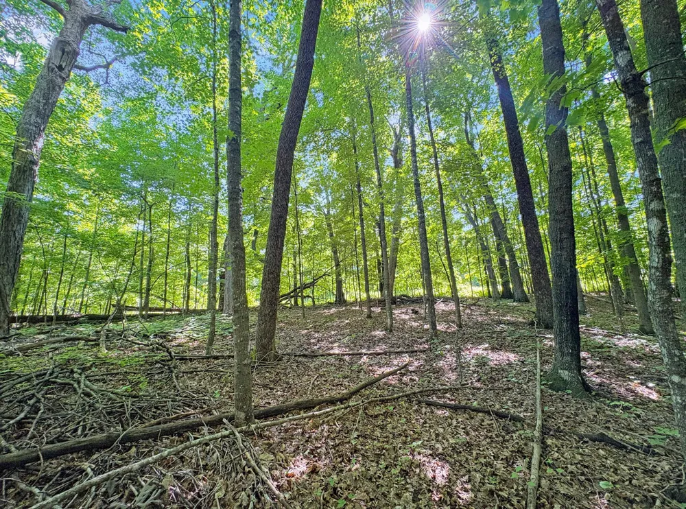 TBD 85th Street Frederic, WI 54837