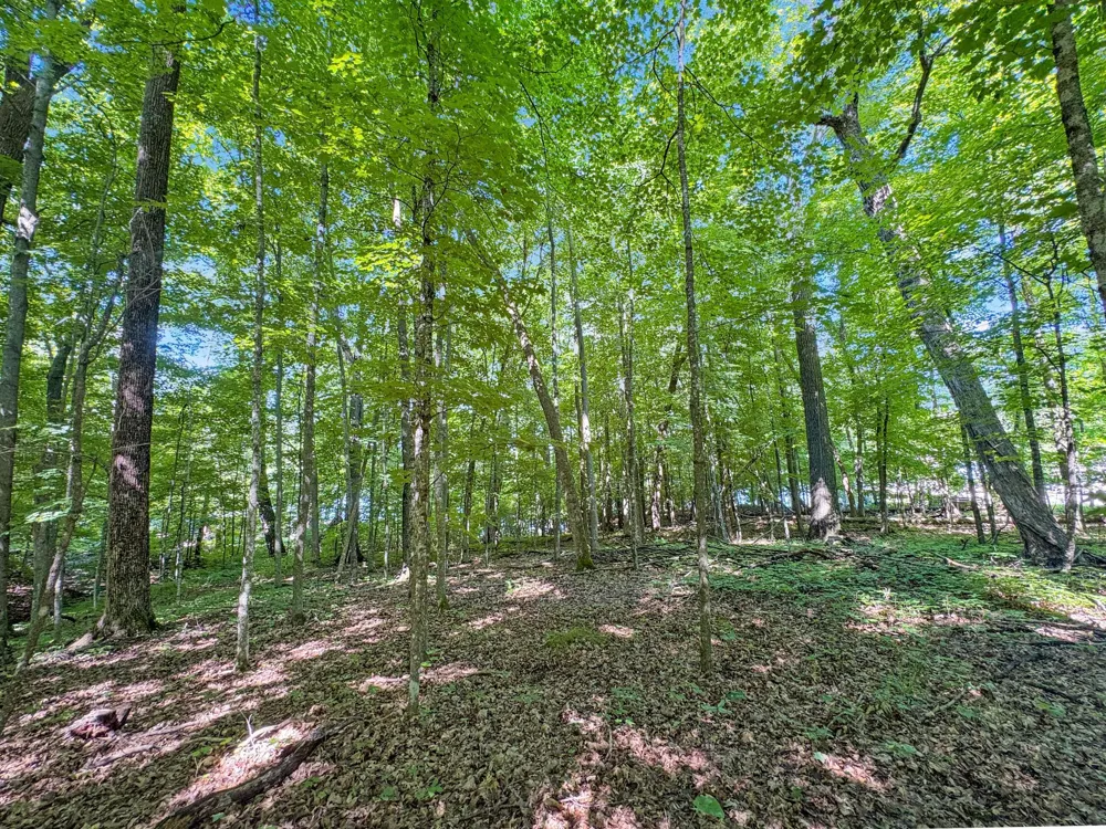 TBD 85th Street Frederic, WI 54837