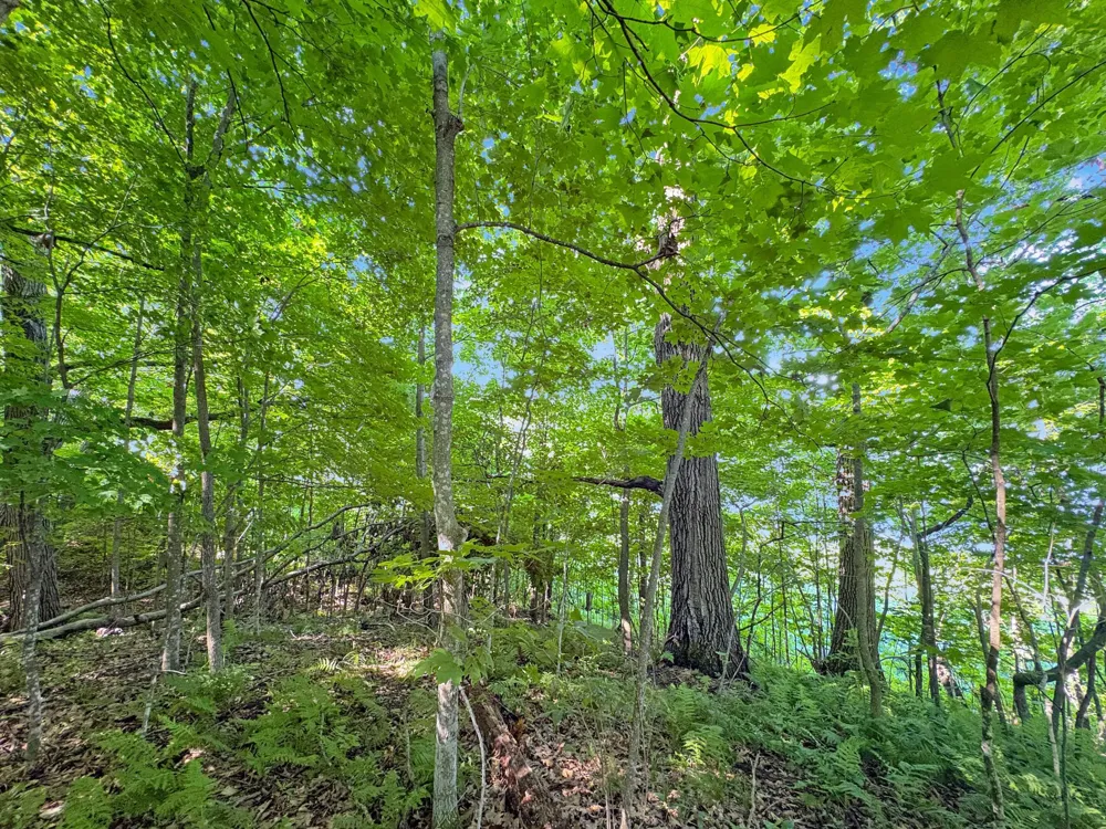 TBD 85th Street Frederic, WI 54837