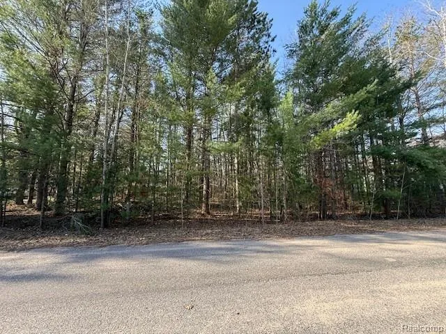 Ponderosa Drive Wexford Township, MI 49601