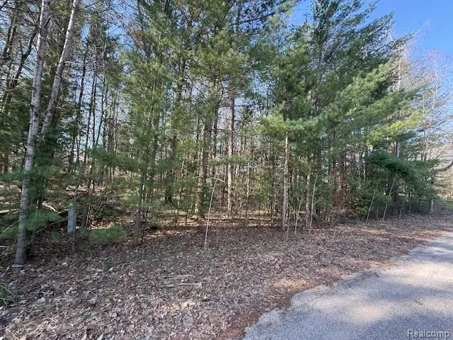 Ponderosa Drive Wexford Township, MI 49601
