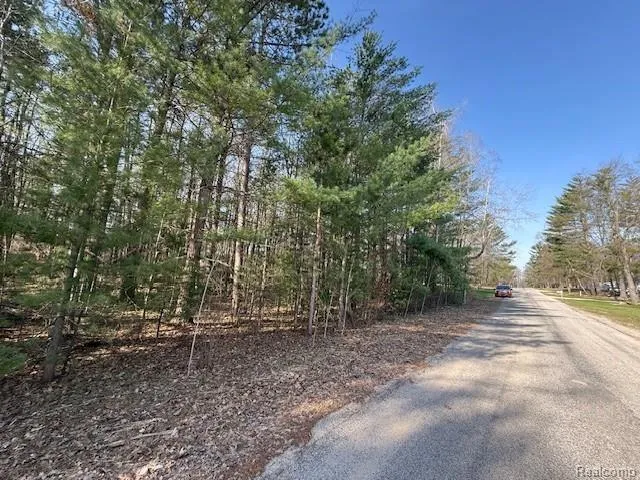 Ponderosa Drive Wexford Township, MI 49601