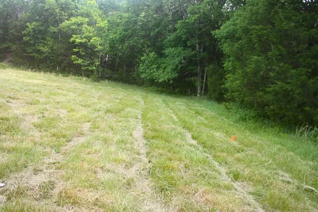 4793 Joe Peay Rd Spring Hill, TN 37174