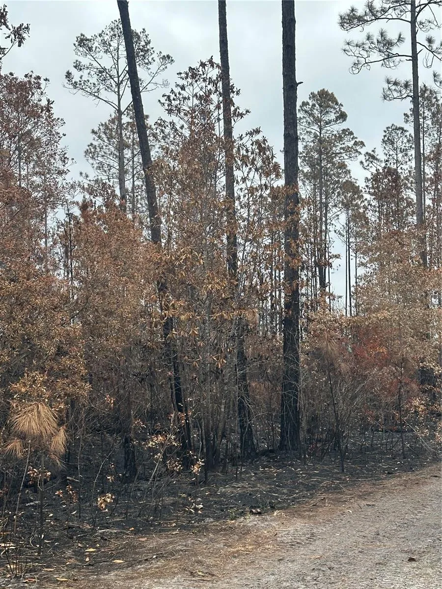 TBD NW 2ND AVENUE Palatka, FL 32177
