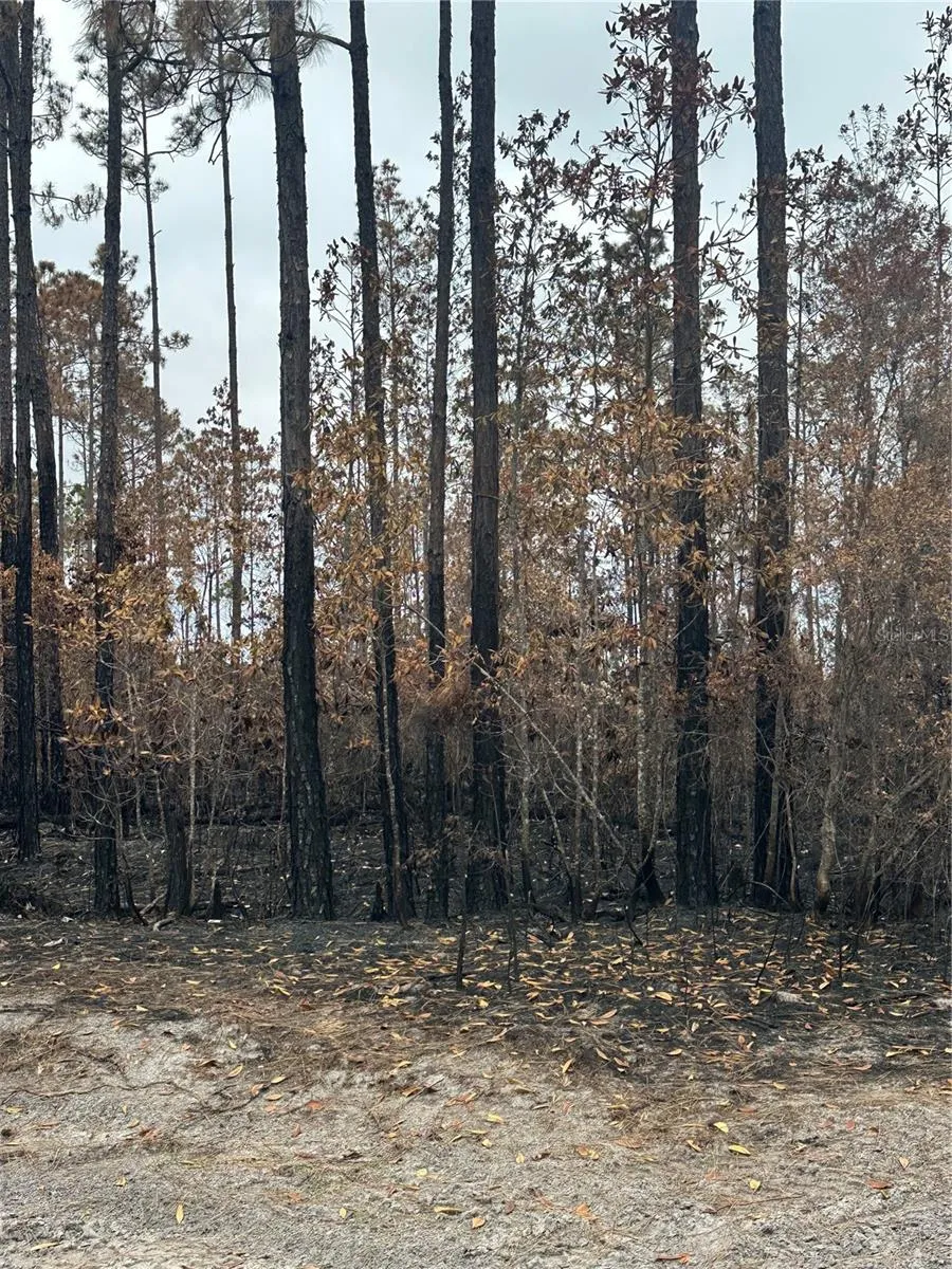 TBD NW 2ND AVENUE Palatka, FL 32177