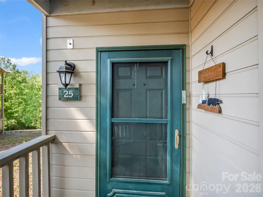 160 Whitney Boulevard #25 Lake Lure, NC 28746