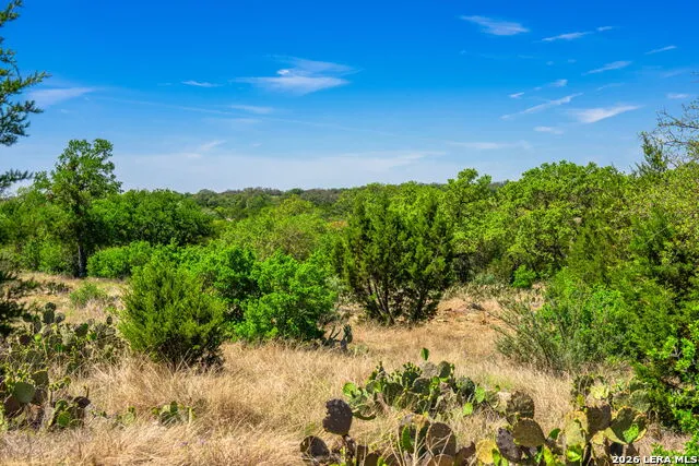 853 ELM RIDGE RD Fredericksburg, TX 78624