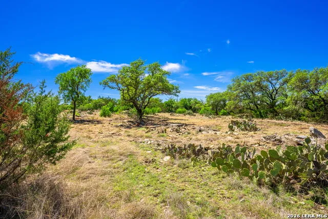 853 ELM RIDGE RD Fredericksburg, TX 78624
