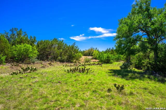 853 ELM RIDGE RD Fredericksburg, TX 78624
